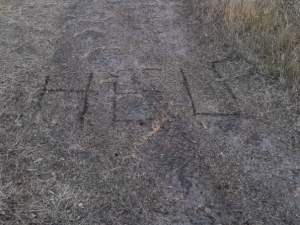 Ce au descoperit un tata si fiul sau dupa ce au vazut