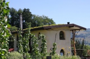 Doi fraţi din Bistriţa au construit o locuinţă unicat, din lemn, paie şi muşchi de copac, care atrage turiştii din toate colţurile lumii