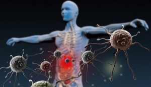 Ucigasii invizibili: cele trei virusuri care pot decima lumea
