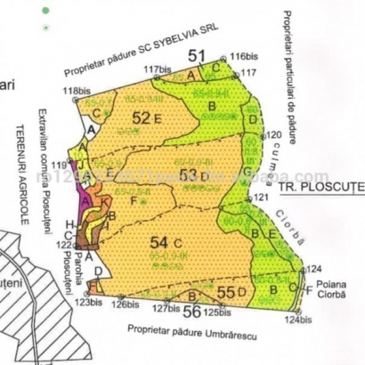 Incredibil! Padure din Romania de vanzare pe Alibaba
