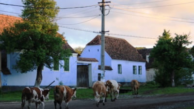 "Satul de 15 minute": Maşinile vor fi interzise în Viscri acolo unde Regele Charles al III-lea deține mai multe proprietăți