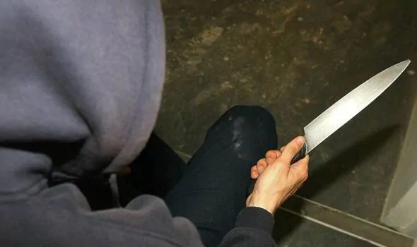 "We're all living in Amerika": Un al doilea caz de violenta armată în scoli - Un elev de 15 ani și-a tăiat un coleg și a bătut un al doilea