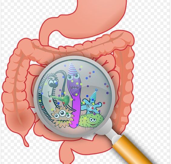 140.000 de viruși noi pentru știință au fost descoperiți în intestinele oamenilor moderni