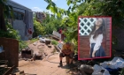 Şeful Poliţiei Române, despre ultimele cuvinte ale Alexandrei: "A spus „vine, vine" şi apoi s-a întrerupt..."