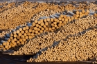 Încă un retailer renunță la produsele de la Holzindustrie Schweighofer