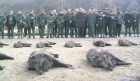 Începe vânătoarea de mistreţi de la Balc