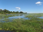 „Patria ancestrală" a omului modern, localizată în Botswana