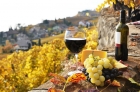 „Vinurile Împăraţilor", cele mai scumpe din România, reapar pe piaţă