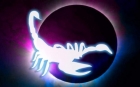 10 motive pentru care scorpionul este considerat cel mai puternic semn zodiacal
