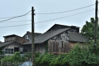 14 zile de la răpirea Alexandrei. A șasea zi de căutări în "casa groazei" din Caracal