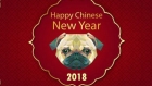 2018, Anul chinezesc al Câinelui de Pământ. Sfatul de aur pentru anul viitor!