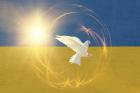 Acordul-cadru pentru Ucraina: Aceste condiţii reprezintă oferta finală a Statelor Unite pentru ambele părţi
