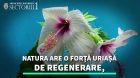 Actionam responsabil, in echilibru cu natura!