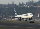 Al patrulea director interimar al Tarom a demisionat