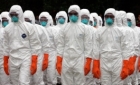 Alertă EFSA: Europa este în pragul unei noi pandemii
