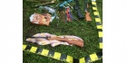 Arme de foc, arbalete, muniţii şi săgeţi, descoperite în urma a trei percheziţii