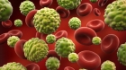 Atentie la ce bagati in organism! Lista completa a produselor cancerigene