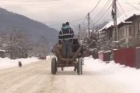 Au legat un tânăr de un copac şi l-au bătut până a intrat în comă