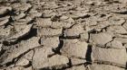 Avertismentul geologilor: Terra va avea parte de a șasea extincție în masă, comparabilă cu cea care a dus la dispariția dinozaurilor
