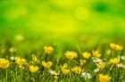 Bucureștiul va avea parte de temperaturi de 30 de grade. Cod galben de ploi și vijelii în nord-vest