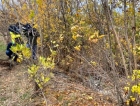 Cadavrul ars găsit pe câmp în Giurgiu e al unei femei tinere. A fost băgată într-o valiză, cu mâinile legate