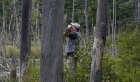 Cadavrul unui bărbat, posibil al unui fugar care a împuşcat un pădurar, găsit în pădure