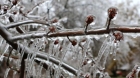 Ce este, de fapt, ploaia îngheţată, fenomenul meteo care a îngrozit România