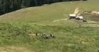 Ce spune belgianul batut de ciobani: ''Am crezut ca ma omoara!''
