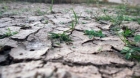 Cea mai gravă secetă din ultimii 100 de ani în Europa de Est