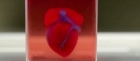 Cercetătorii israelieni au printrat în 3D o inimă în miniatură folosind țesut uman