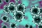 Cercetatorii chinezi: Coronavisulul este o combinaţie letală între SARS şi HIV!