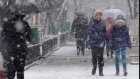 Ciclonul polar Olaf ajunge, duminică, în România. Precipitaţiile se vor transforma în ninsoare