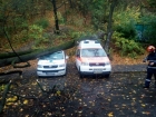 Copac căzut peste două ambulanțe, în fața Crucii Roșii!