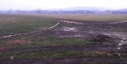 Crimă la o stână din Alba. Bărbat ucis în bătaie pentru o datorie după ce a promis un loc de muncă în străinătate