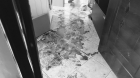 Crima teribila la Timisoara. Un tanar si-a ucis sotia, apoi a incercat sa se omoare si a intrat cu masina, cu toata viteza, intr-un stalp