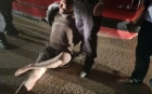 Criminalul din Faget a fost prins! Unde l-au gasit autoritatile