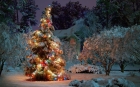 Cum va fi vremea de Crăciun şi de Revelion! Anunţul meteorologilor