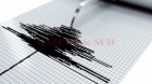 Cutremur cu magnitudine 3,1 pe scara Richter, în județul Vrancea