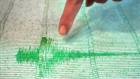 Cutremur in sudul Pacificului! Ce au indicat seismografele