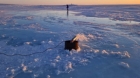 Demență totală: Geoingineria gheții artice pentru a salva planeta de încălzirea globală. Care sunt riscurile pentru Terra Video