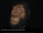 Descoperire arheologică excepțională în Etiopia: Un craniu extrem de bine conservat al unui hominid ce a trăit acum 3,8 milioane de ani