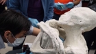 Descoperire macabră în Peru! Au găsit patru mumii bizare care „nu sunt umane”