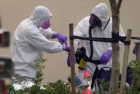 Doi fermieri de la periferia Craiovei, soţ şi soţie, suspecţi de Antrax


