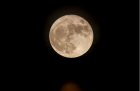 Doi turiști vor călători, anul viitor, în jurul lunii, cu ajutorul SpaceX și NASA