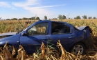 Două persoane care s-au răsturnat cu maşina au murit cu zile după ce au zăcut ore în şir în lanul cu porumb