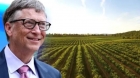 Epidemia de transsexuali: Bill Gates e acuzat că pompează bani în contaminarea cu atrazină, un chimical care schimba sexul la broaște!

