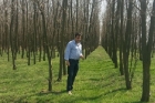 Fermier amendat după ce a plantat 40.000 de arbori: „Nu e vorba de bani! Mie nu mi-e frică!"