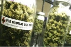 Florida aprobă folosirea marijuanei în scopuri medicale, iar California permite uzul recreațional