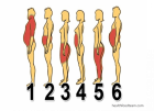 Forma corpului spune la ce boli eşti expus. Concluziile inedite ale unui studiu realizat de Universitatea Cambridge!