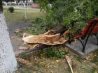 Furtuna de duminică seară din Timiș: 5 morţi, 49 de răniţi, cursuri suspendate în 15 şcoli